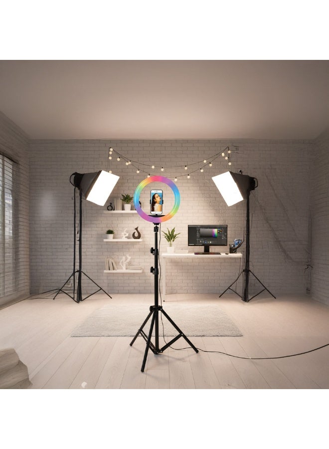 Torima حامل ثلاثي القوائم TORIMA MJ26 RGB LED مقاس 10 بوصات - Image 3